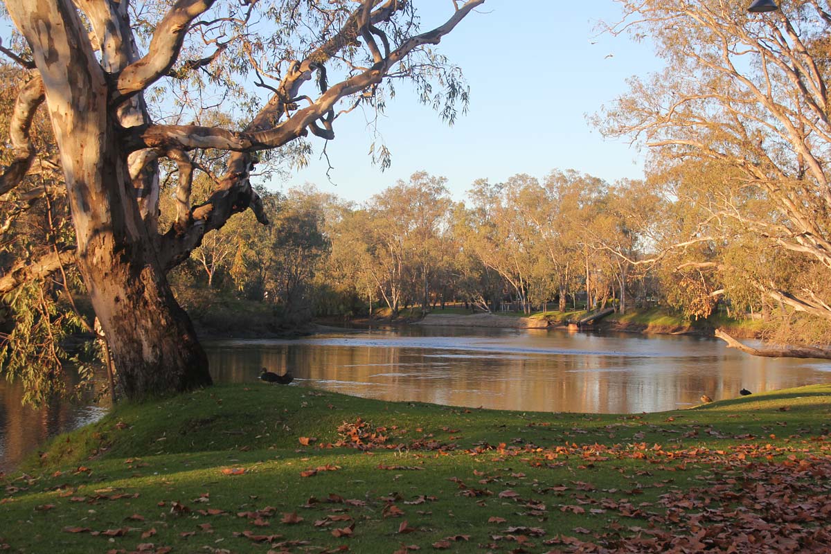 The Murry River